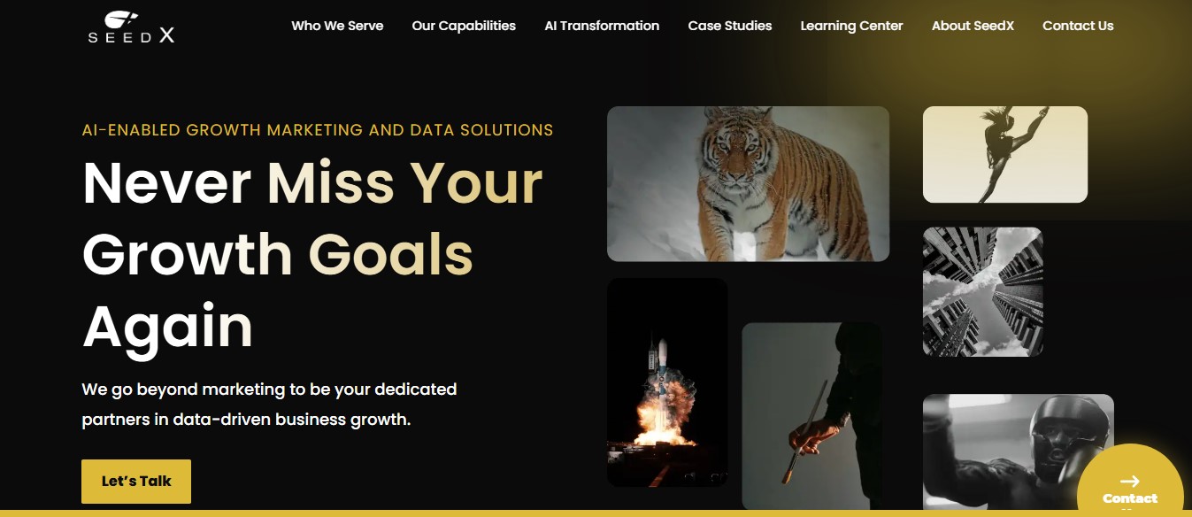 SeedX - Miami Digital Marketing Agency